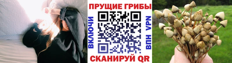 Псилоцибиновые грибы прущие грибы  блэк спрут зеркало  Заинск 